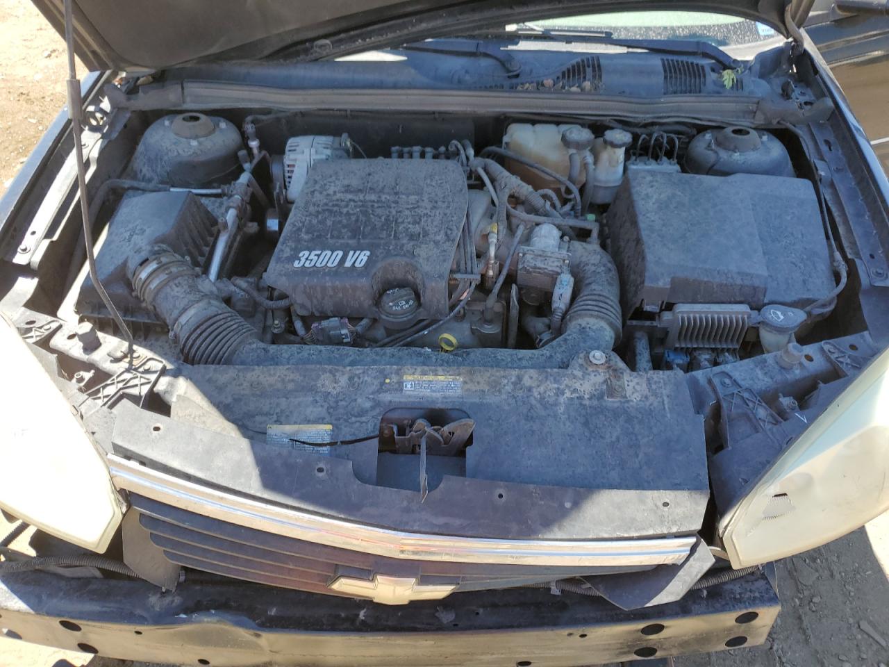 1G1ZT63806F177858 2006 Chevrolet Malibu Maxx Lt