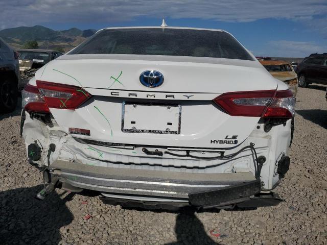 2019 TOYOTA CAMRY LE - 4T1B31HKXKU509449