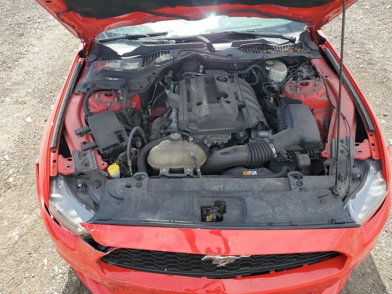 1FA6P8TH2H5281843 2017 Ford Mustang