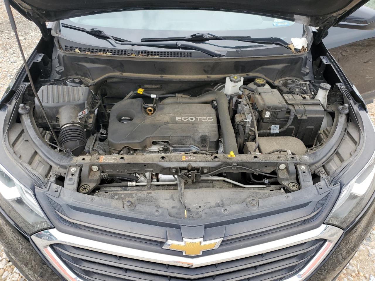 2GNAXKEVXL6205649 CHEVROLET EQUINOX 2020