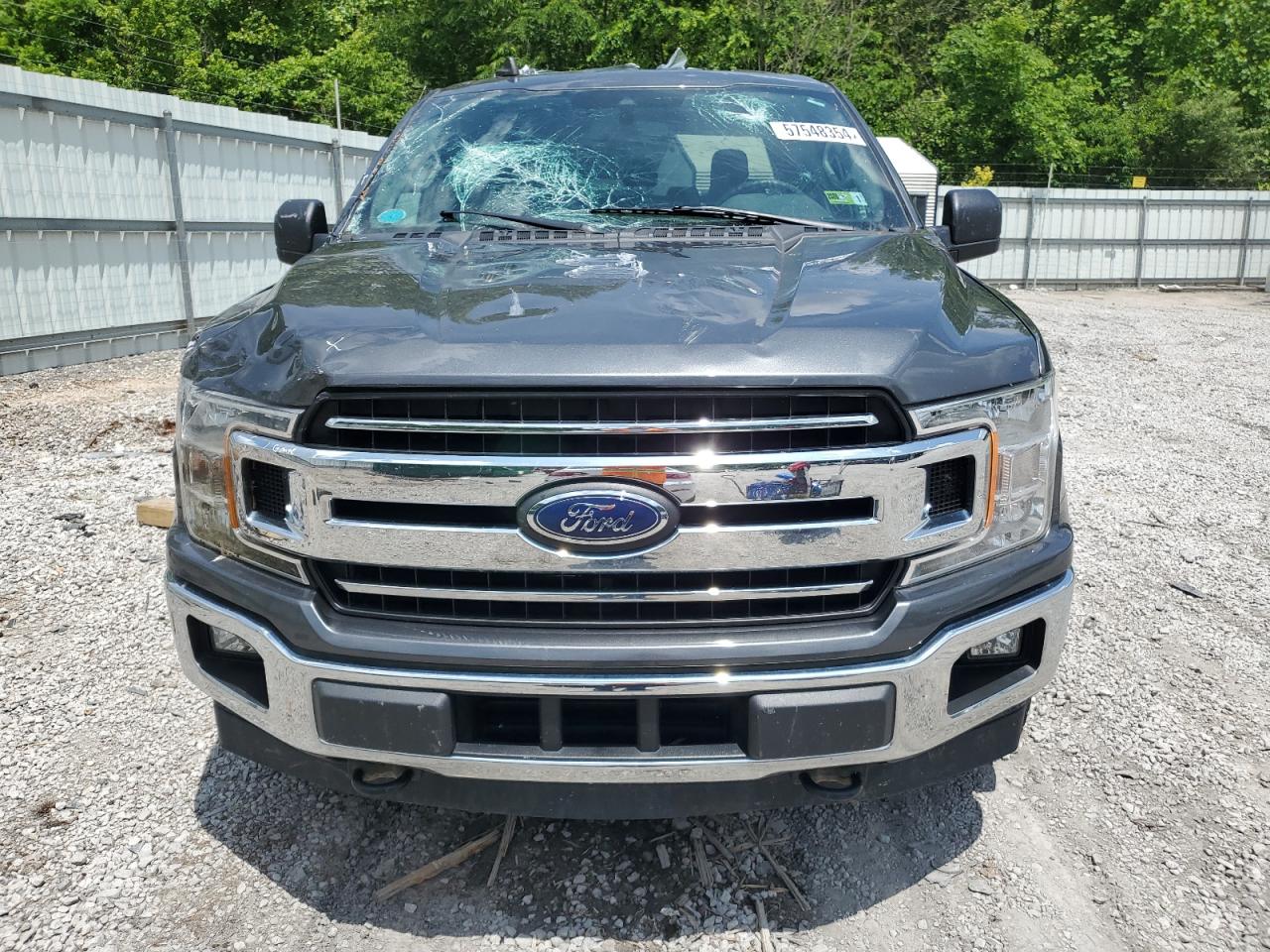1FTEW1E48KFA66012 FORD F-150 2019