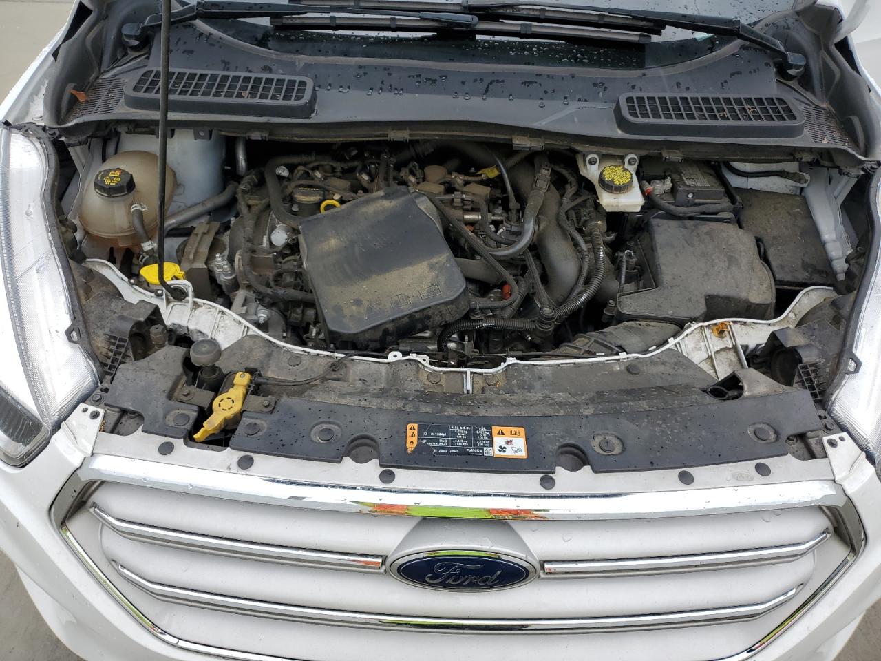1FMCU0GD9KUA61705 FORD ESCAPE 2019