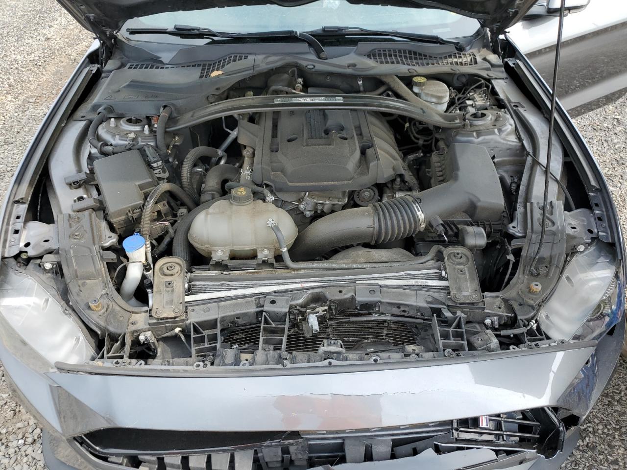 1FA6P8TD8M5127743 FORD ALL Models 2021