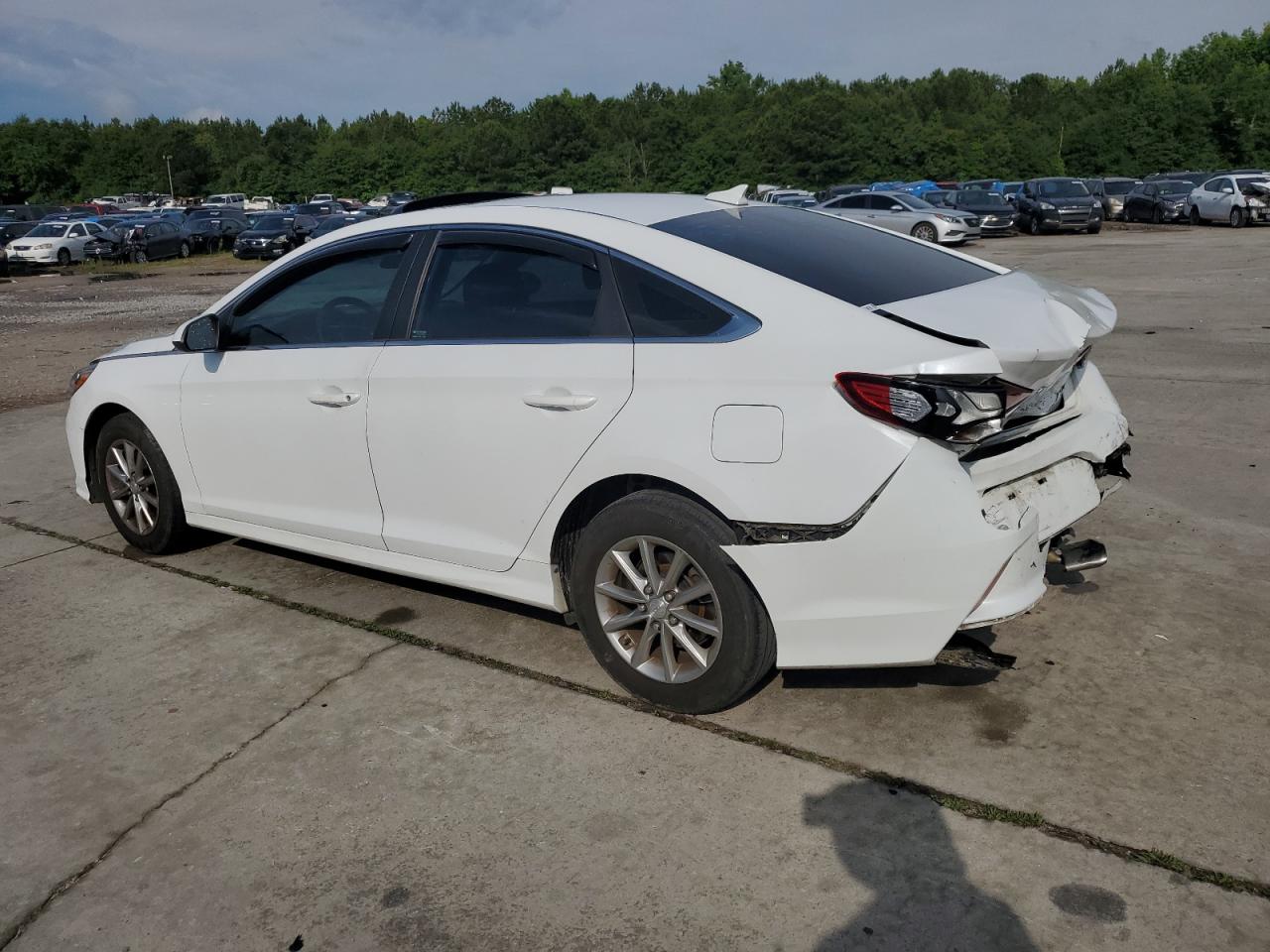 2019 Hyundai Sonata Se vin: 5NPE24AF7KH759647