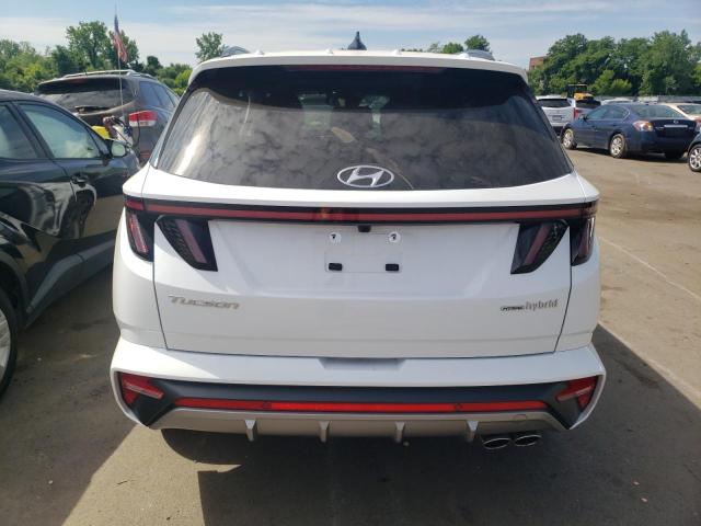 2024 Hyundai Tucson N Line VIN: KM8JFCD17RU142578 Lot: 56663734