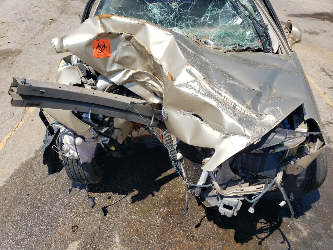 JTHBA30G040020516 2004 Lexus Es 330