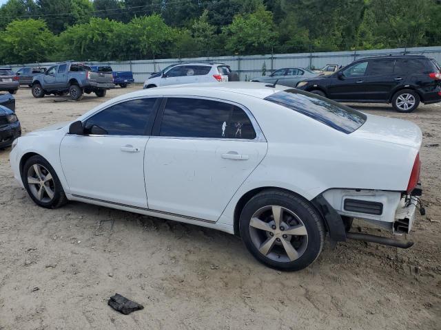 2011 Chevrolet Malibu 1Lt VIN: 1G1ZC5E17BF232035 Lot: 58256524