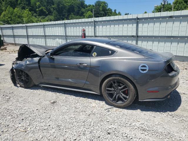 2017 Ford Mustang VIN: 1FA6P8TH1H5244976 Lot: 59147464