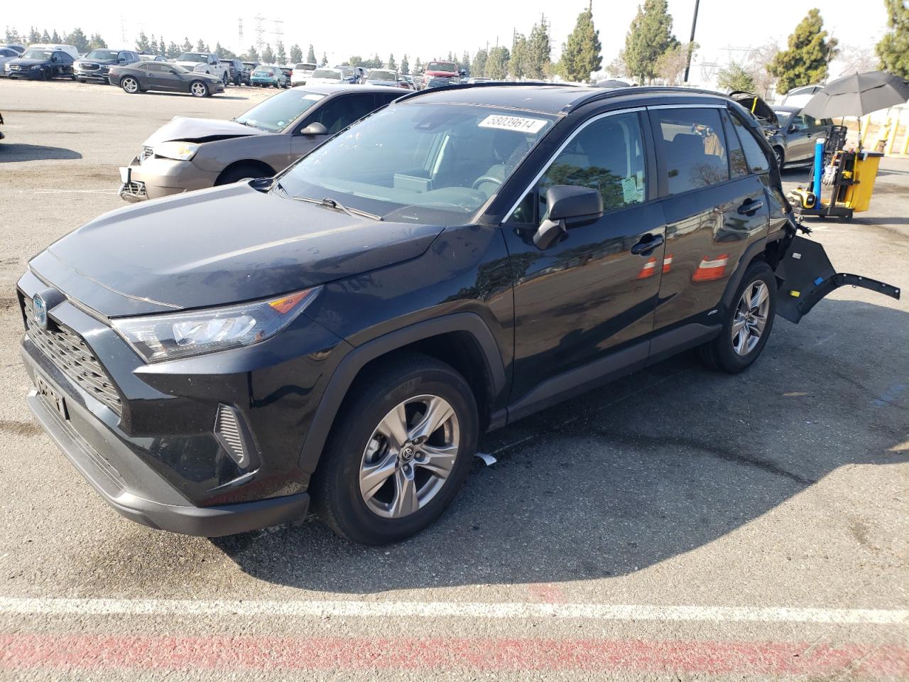 2T3LWRFV1NW137325 2022 Toyota Rav4 Le