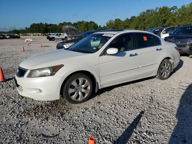 1HGCP368X8A067333 2008 Honda Accord Exl