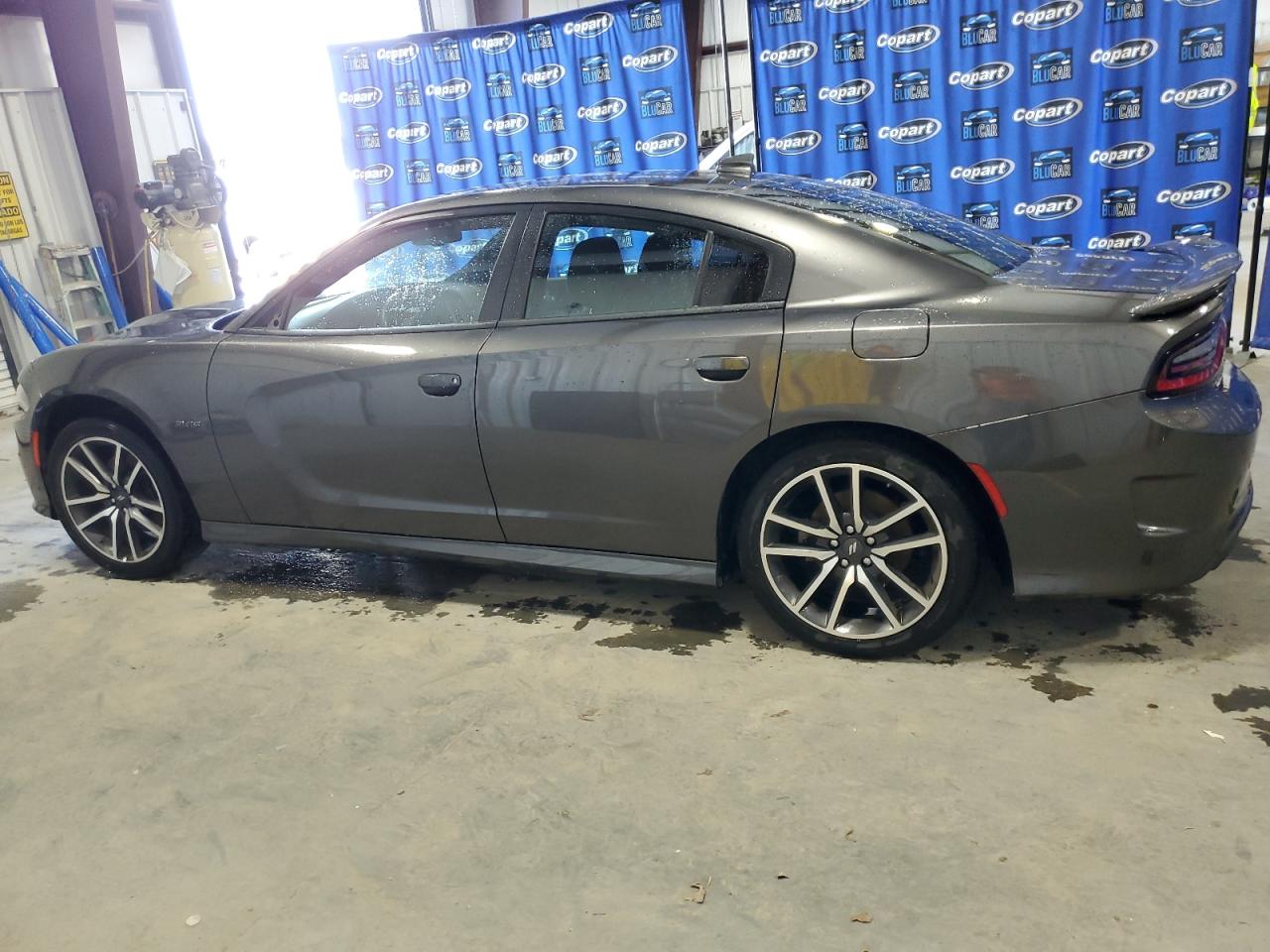 Lot #2641024509 2023 DODGE CHARGER R/