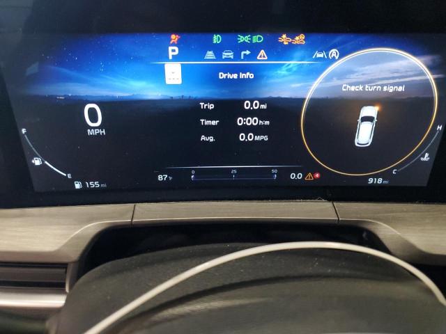 2024 Kia Telluride Sx VIN: 5XYP5DGC3RG513855 Lot: 61155304