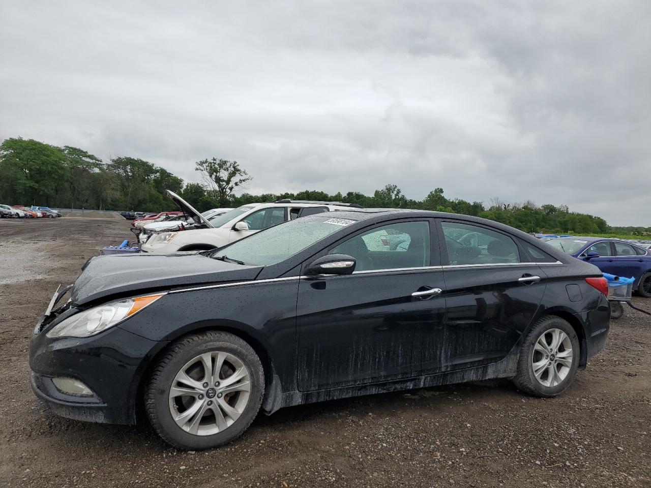 Lot #2635511695 2013 HYUNDAI SONATA SE