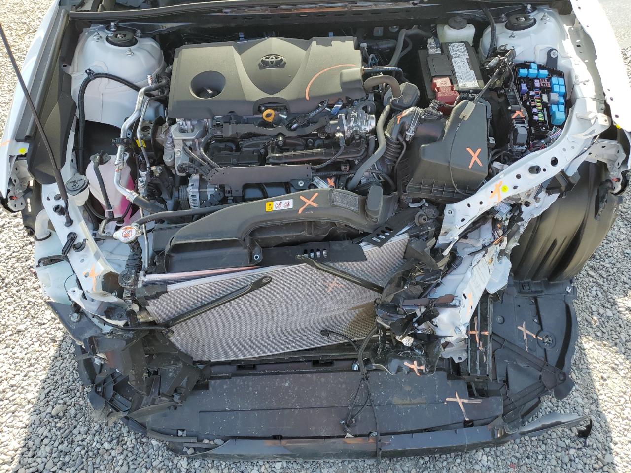 4T1C11AK3RU259146 TOYOTA CAMRY 2024