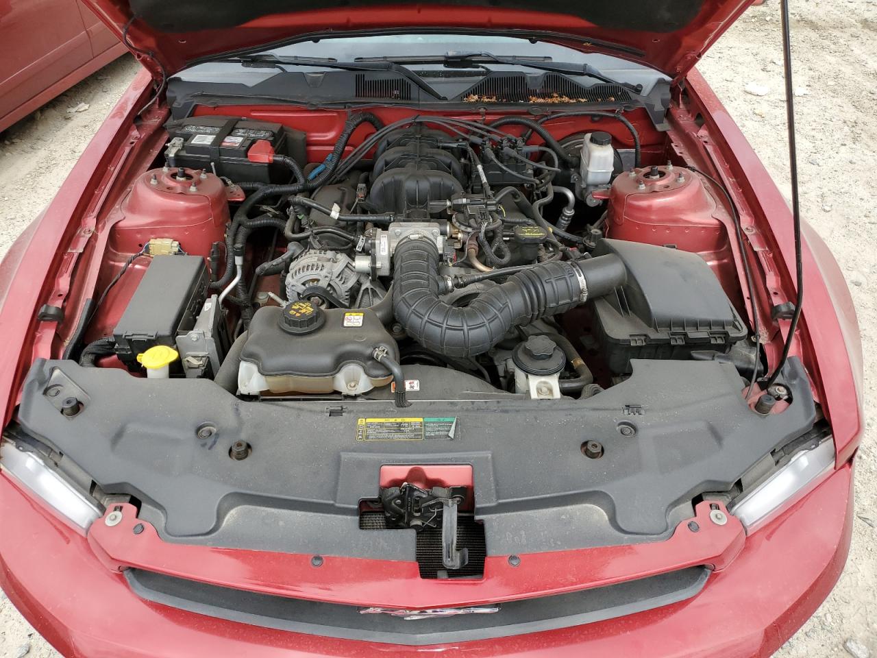 1ZVBP8AN9A5172655 2010 Ford Mustang