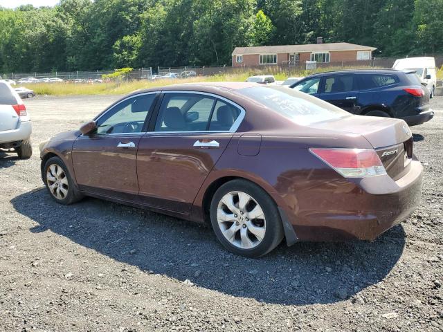 2010 Honda Accord Exl VIN: 5KBCP3F81AB001587 Lot: 59081284