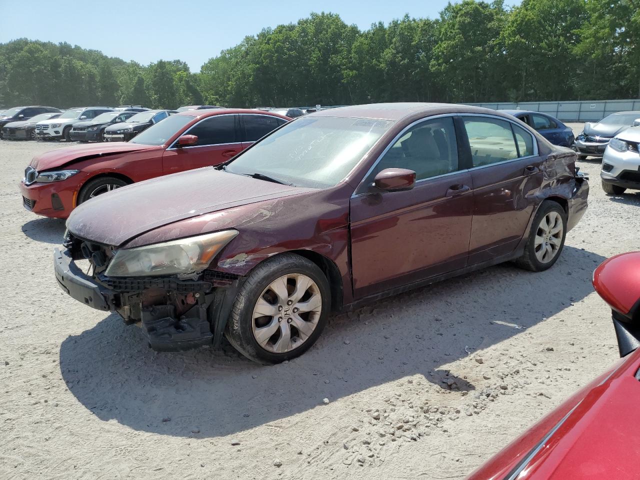 Lot #2825334783 2010 HONDA ACCORD EXL