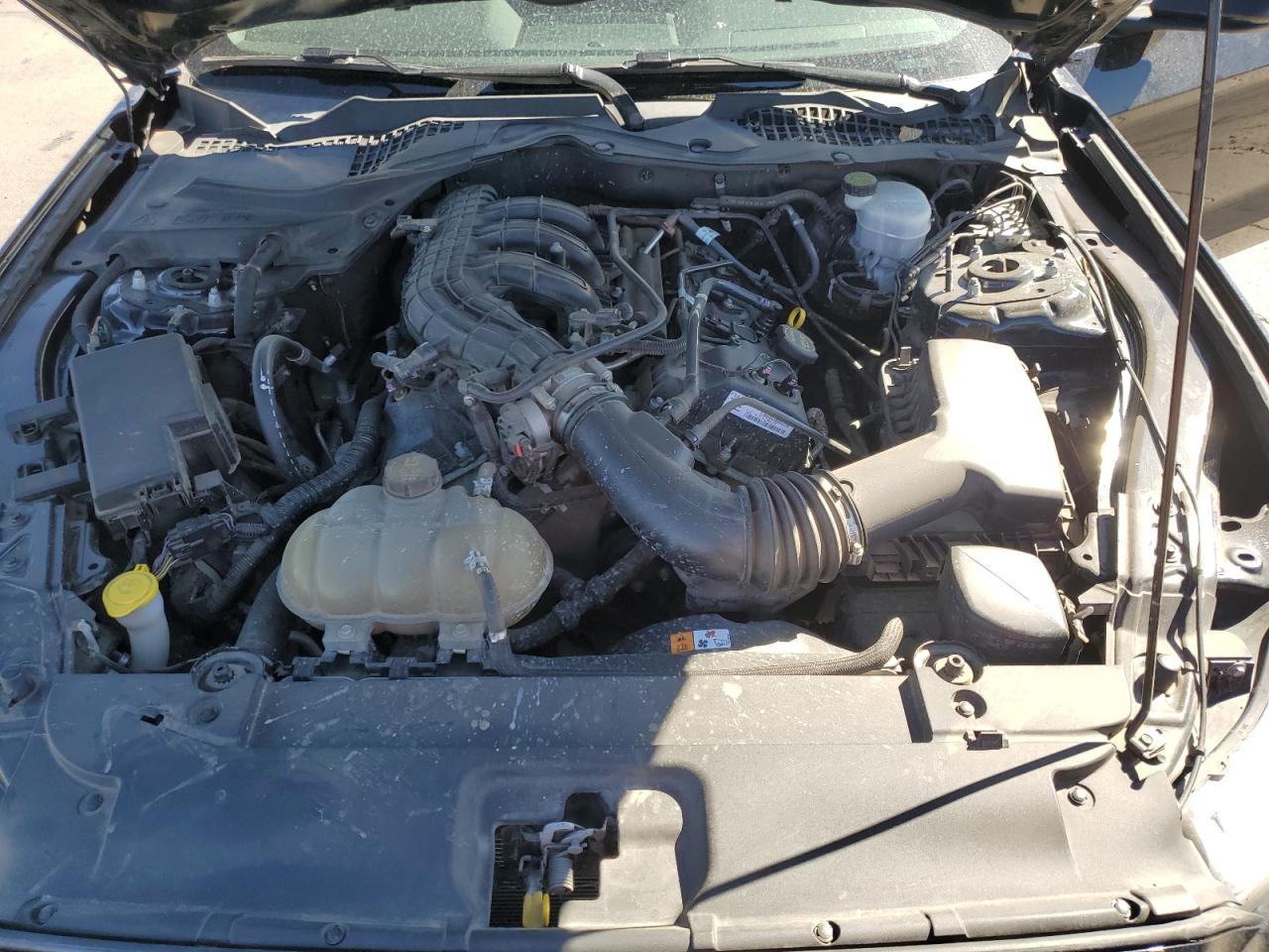 1FA6P8AM0F5379539 2015 Ford Mustang