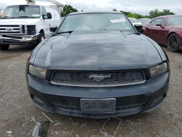 2010 Ford Mustang VIN: 1ZVBP8AN9A5127926 Lot: 57724764