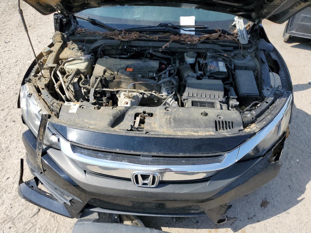 19XFC2F50GE048325 2016 Honda Civic Lx