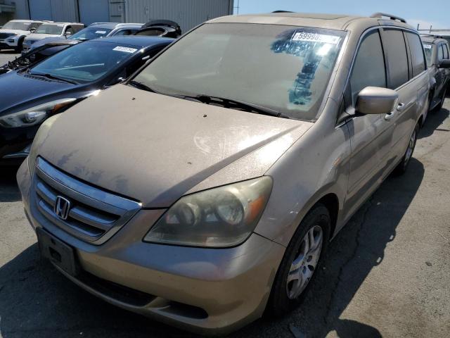 2005 Honda Odyssey Exl VIN: 5FNRL38685B015394 Lot: 59998904