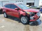 FORD ESCAPE SEL photo