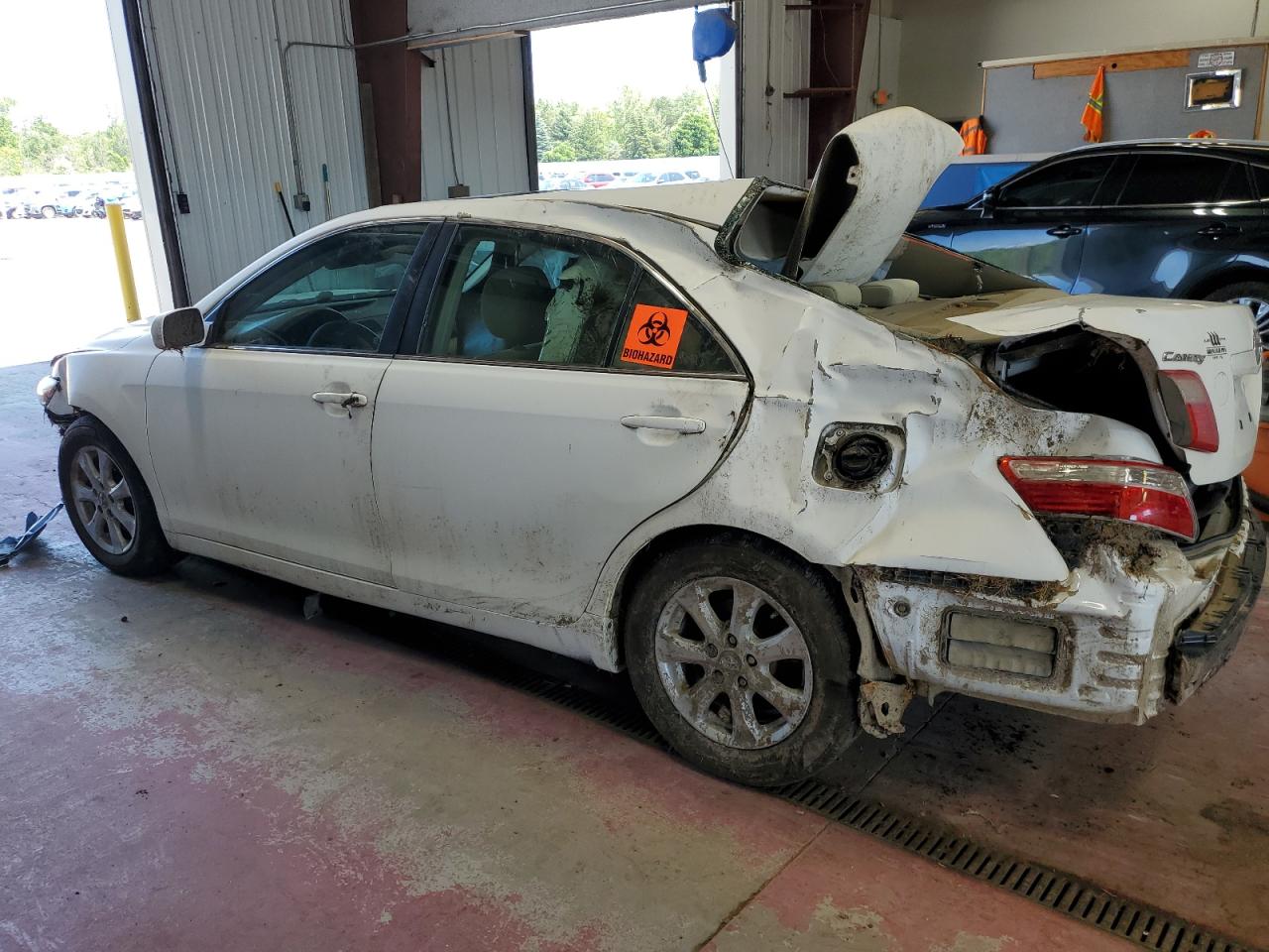 4T1BE46K87U729226 2007 Toyota Camry Ce