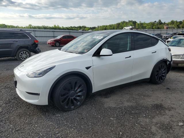 2023 TESLA MODEL Y - 7SAYGDEF4PF843412