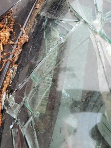 1994 Chevrolet Gmt-400 K1500 VIN: 2GCEK19K7R1176653 Lot: 59313634