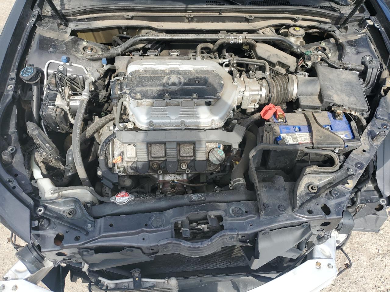 19UUA9F51DA005246 2013 Acura Tl Tech