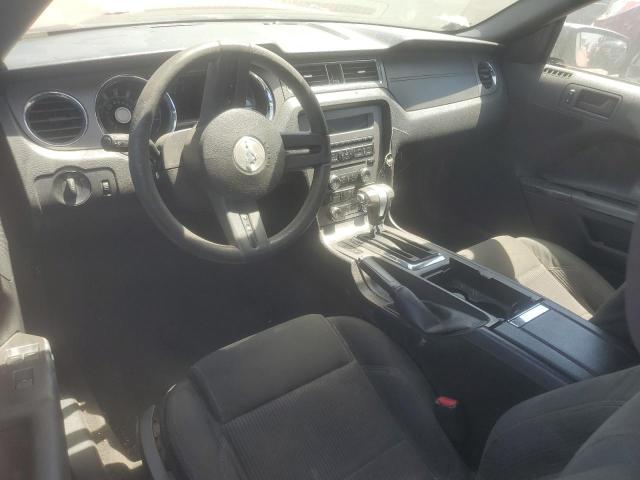 2010 Ford Mustang VIN: 1ZVBP8EN8A5175802 Lot: 60502944