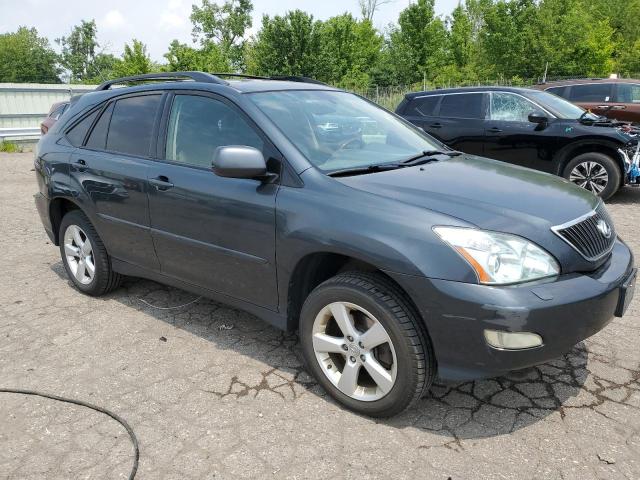 2007 Lexus Rx 350 VIN: JTJHK31U472005309 Lot: 59684264