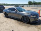 FORD MUSTANG GT photo