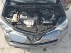 TOYOTA RAV4 XLE photo