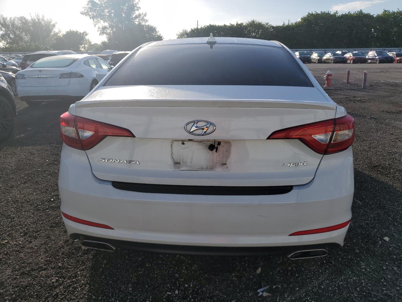 5NPE34AF1GH328385 2016 Hyundai Sonata Sport