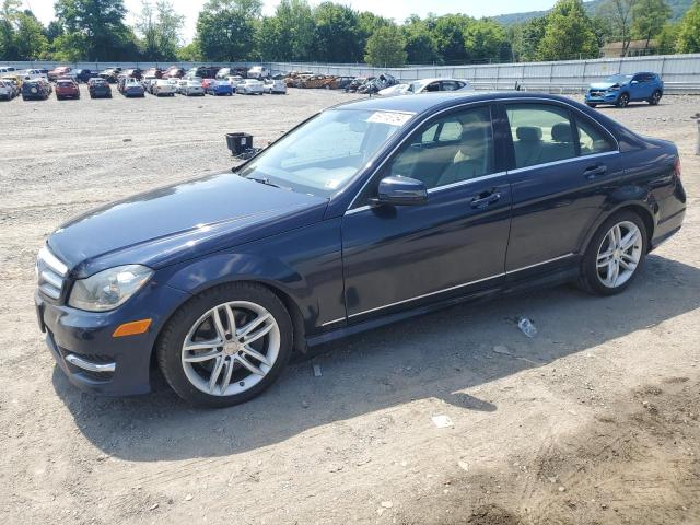 2013 Mercedes-Benz C 300 4Matic VIN: WDDGF8ABXDA843995 Lot: 59115154