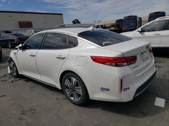 2019 KIA OPTIMA PLU KNAGV4LD7K5031982