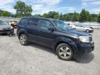 HONDA PILOT EXL photo