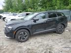 2023 KIA SPORTAGE L - KNDPUCAG7P7042361