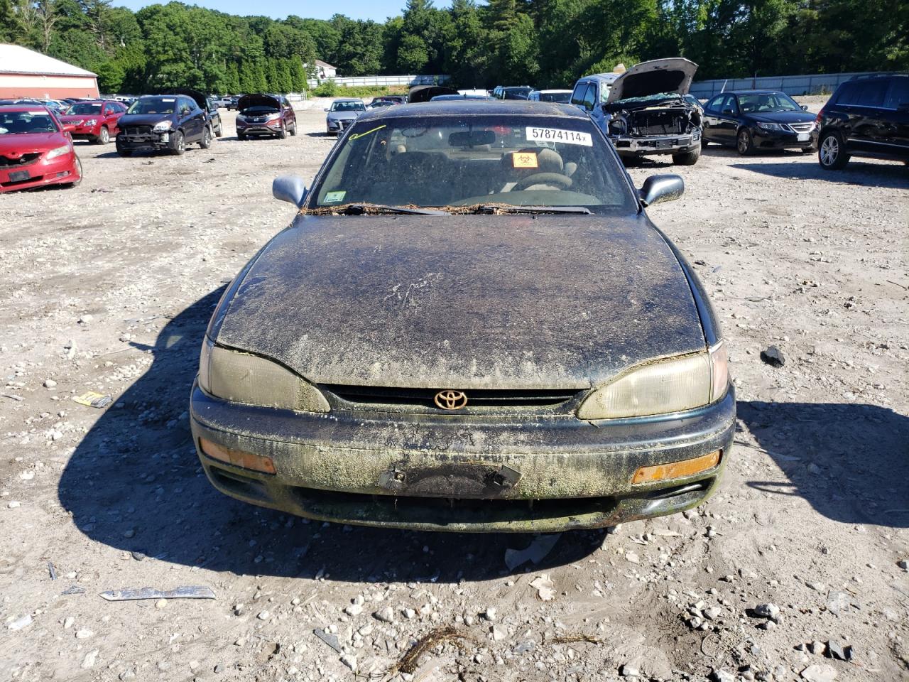 4T1SK12E1SU604116 1995 Toyota Camry Le