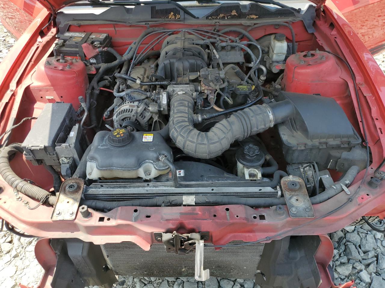 1ZVBP8EN8A5177761 2010 Ford Mustang