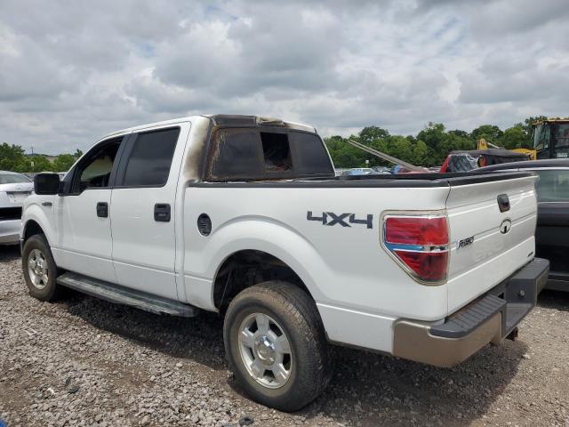 2013 Ford F150 Supercrew VIN: 1FTFW1EF2DKE06383 Lot: 57324624