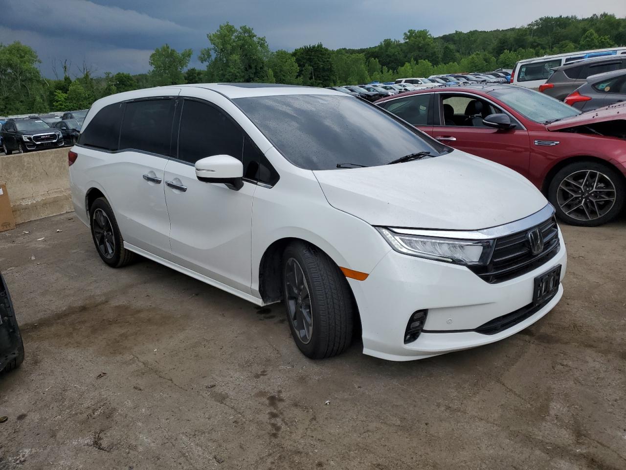 Lot #2920726403 2023 HONDA ODYSSEY EL