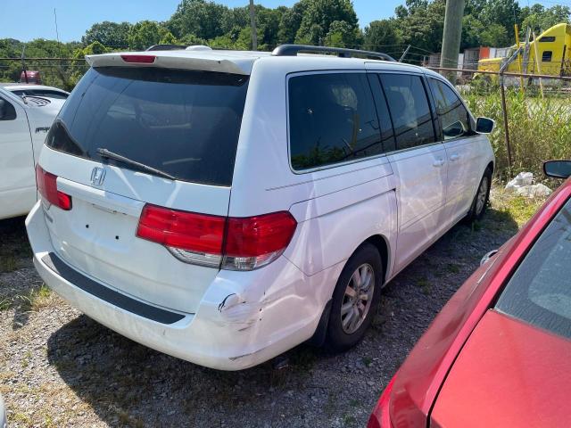 2010 Honda Odyssey Exl VIN: 5FNRL3H78AB033283 Lot: 59350594