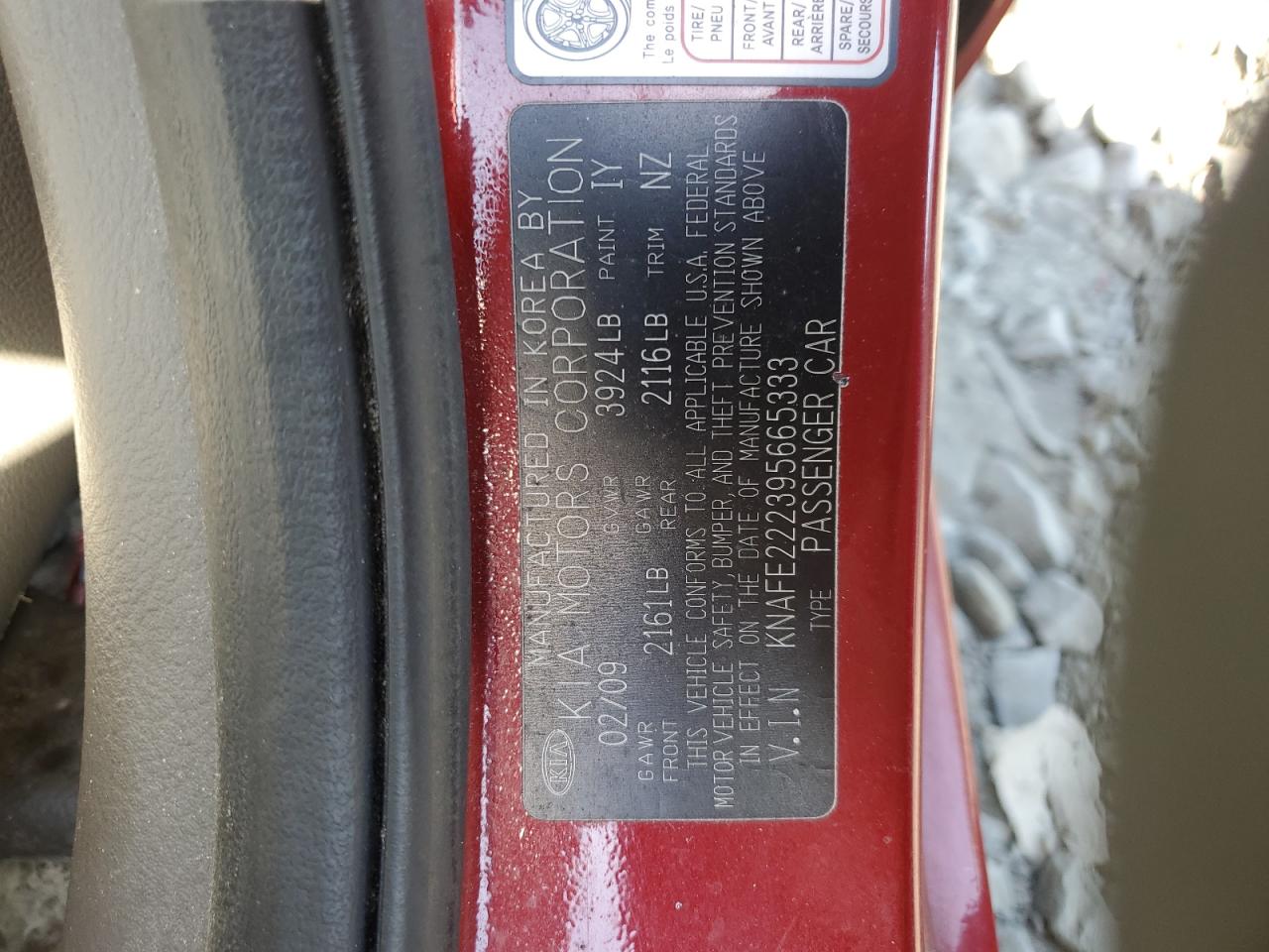 KNAFE222395665333 2009 Kia Spectra Ex