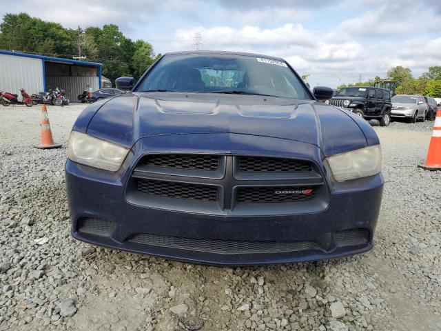 2013 Dodge Charger Police VIN: 2C3CDXAT1DH694691 Lot: 61132954