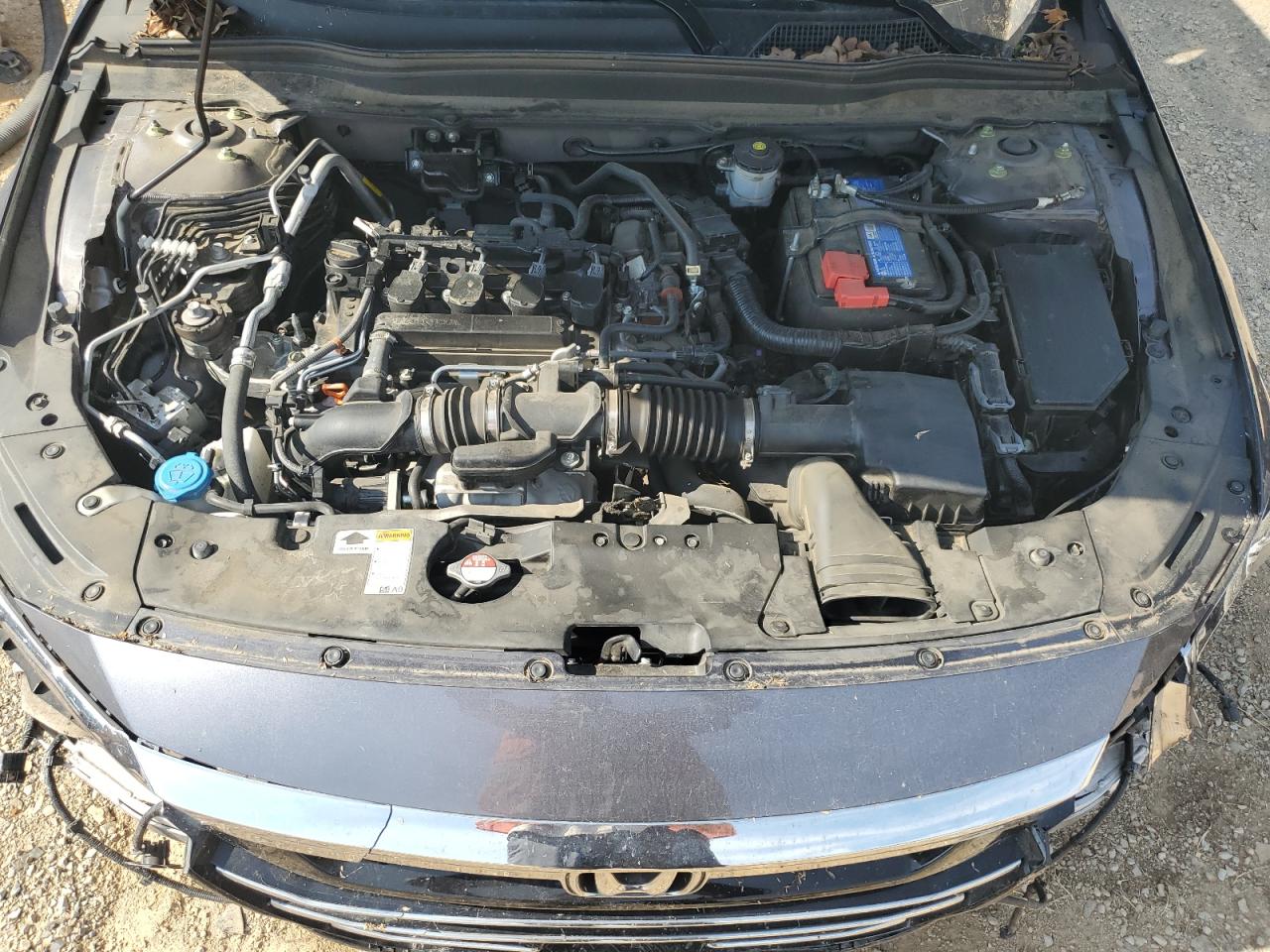 1HGCV1F55MA044035 2021 Honda Accord Exl