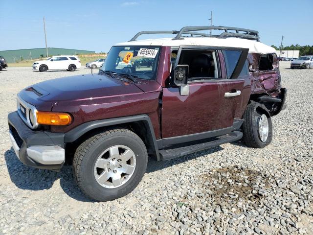 2007 Toyota Fj Cruiser VIN: JTEBU11F270005910 Lot: 60555414