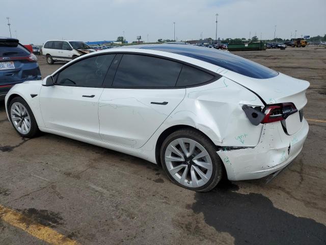 2021 TESLA MODEL 3 - 5YJ3E1EA2MF100016