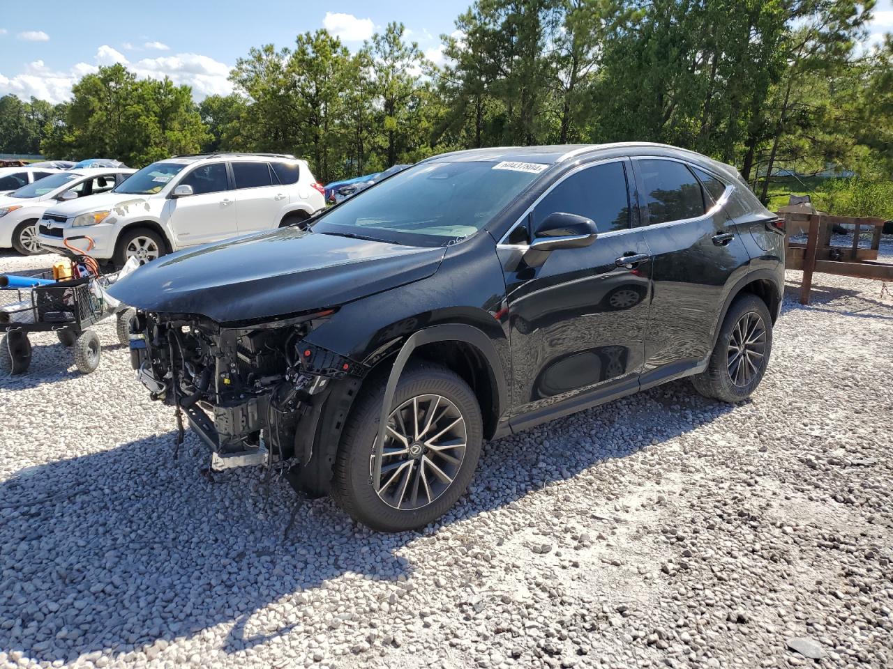 2T2GDCAZ6RC015067 LEXUS NX 250 PRE 2024